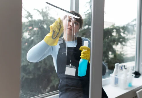 Nettoyage de vitres intérieures et extérieures à Ercé